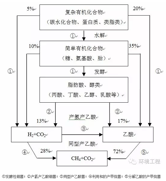 co2和h2为主要基质(还有甲酸,甲醇及甲胺)最终转化为ch4 co2