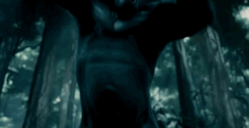 146854095332245895.GIF