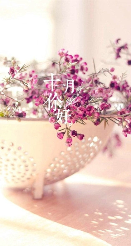 小清新你好十一月手机高清壁纸