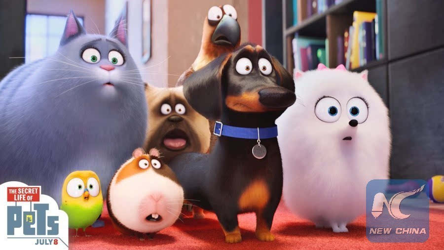  Secret Life of Pets Wiki: Unveiling the Hidden Adventures of Our Furry Friends