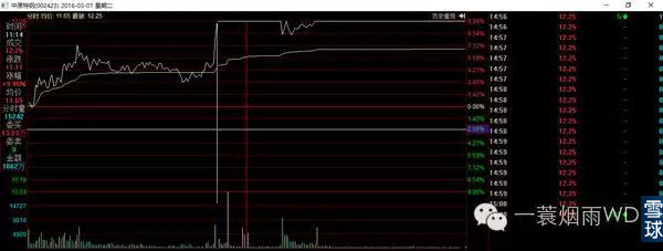 股票板块怎样判断龙头股