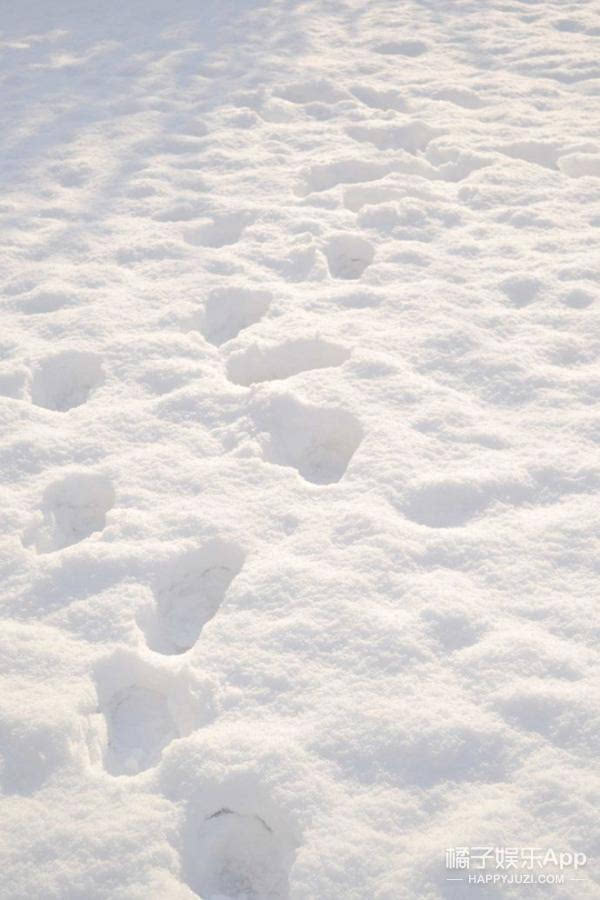 [真相帝]下雪天是世界最安静的时候