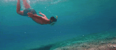 146883794647508399.GIF