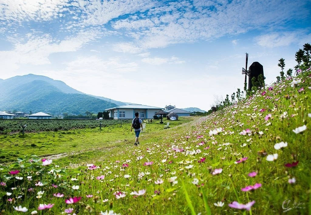 桃花岛多少人口_舟山桃花岛