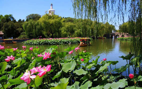 北京北海公园 绿红相倚拥云霞