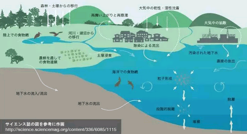 调查公布|日本福岛河流沉积物辐射污染水平是