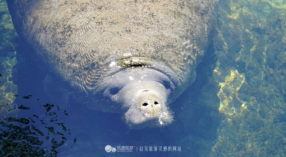 水晶河,美国人自己都不知的隐秘度假地