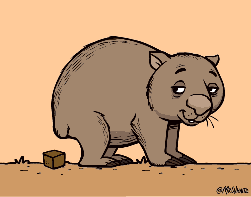 146926970808049176.GIF