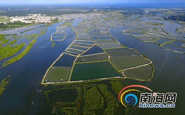 儋州新州总人口_儋州新州镇地图 海南