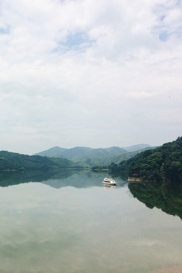 卢村水库停车野餐的大树下想承包了这亩鱼塘夏阳位于湖州市安吉县