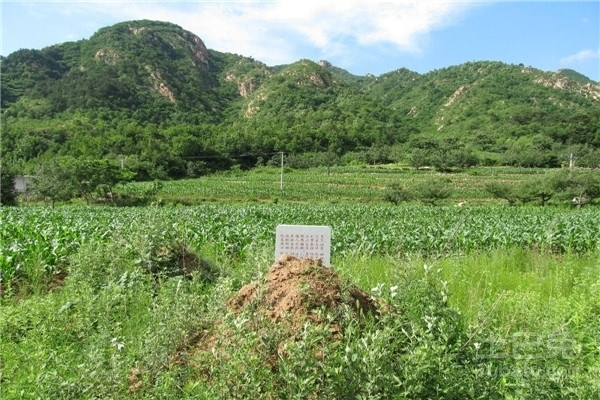 如何看坟地风水?这五点很重要