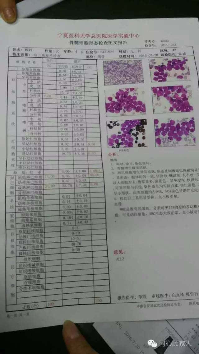 骨髓细胞形态检查图