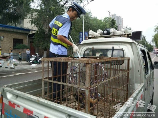 云南一公安局长被指违章后找下属顶包还吃保护动物纪检调查