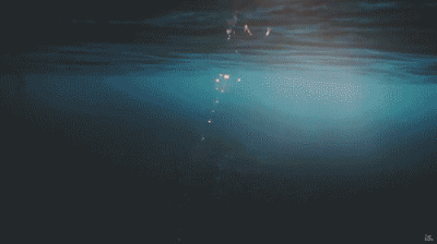 深海恐惧症最怕的图片,才看到第二张就要吓哭-搜狐