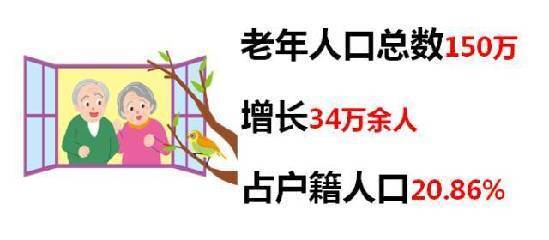 2019 杭州 老年人口_杭州各城区老年人口数示意图-159.13万 杭州60岁以上人口再创(2)