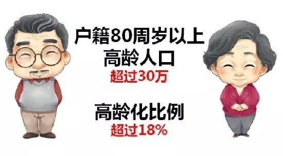 2019 杭州 老年人口_杭州各城区老年人口数示意图-159.13万 杭州60岁以上人口再创(3)