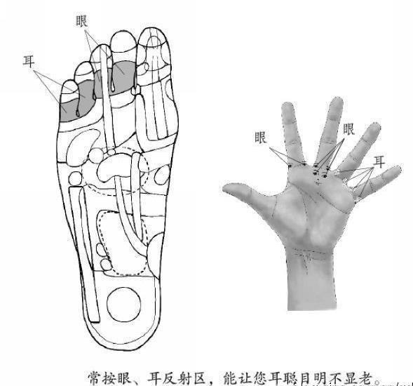 十六,眼睛,耳朵反射区十五,舌头上火十四,生命线十三,岔气十二,减肥