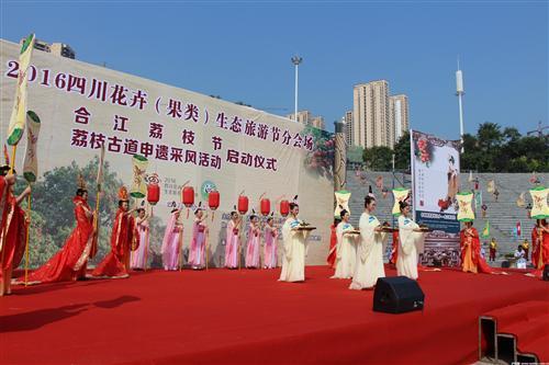 合江荔枝节暨荔枝古道申遗采风活动启动