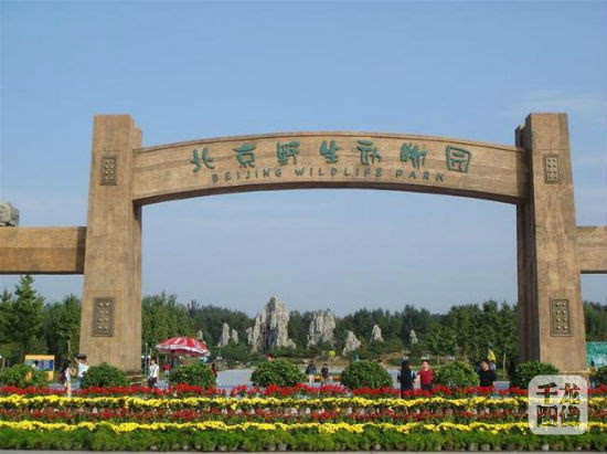 京野生动物园 回应 与 北京八达岭野生动物园 无