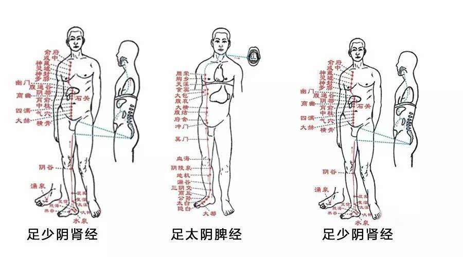 推拿法中的足阴三经与足阳三经分别具体是有哪些穴位?