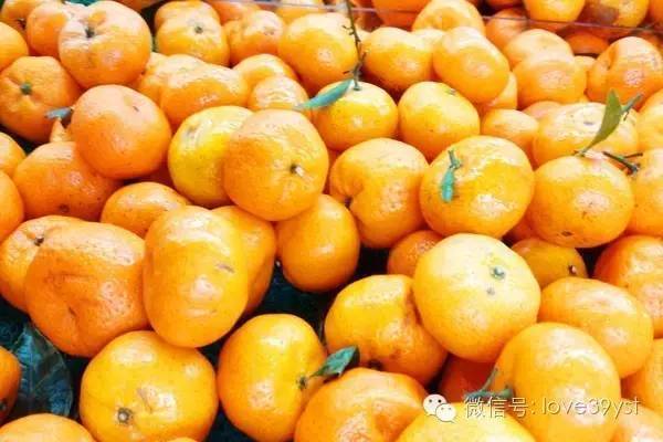 橘子 橙子 柚子 长得像 营养却差了十万八千里