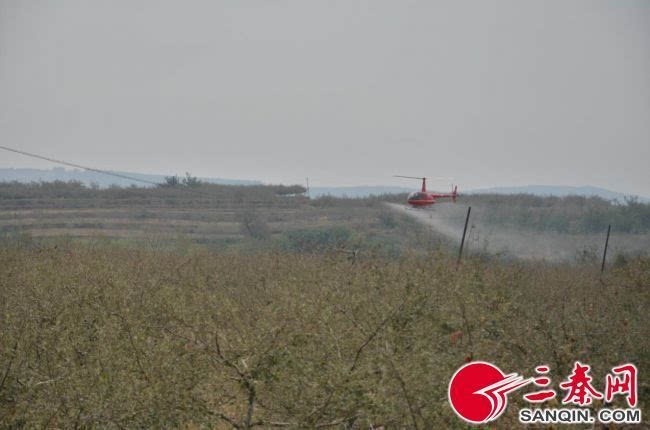 宜川县秋林镇 首创该县飞机喷药先例为受灾群众保住果树20000亩