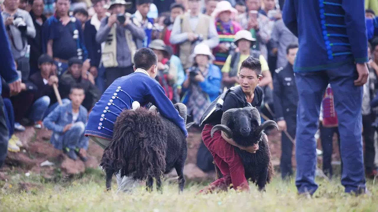 没去过大凉山,没感受过彝族火把节,这些图片绝对让你