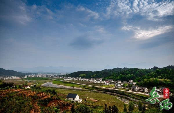 温泉现代农业示范区位于岳西县温泉镇境内,建设3年来,在省市县大力