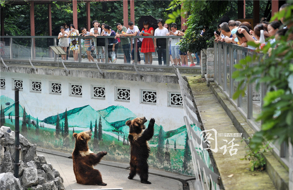 “禁止喂食”被忽视 游客动物园投食成风