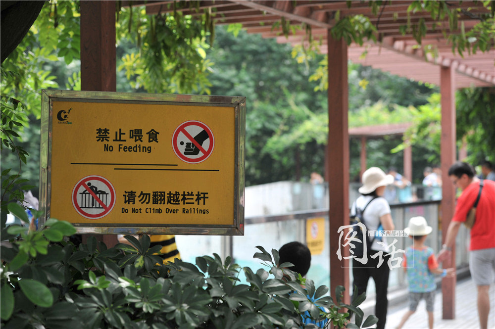"禁止喂食"被忽视 游客动物园投食成风