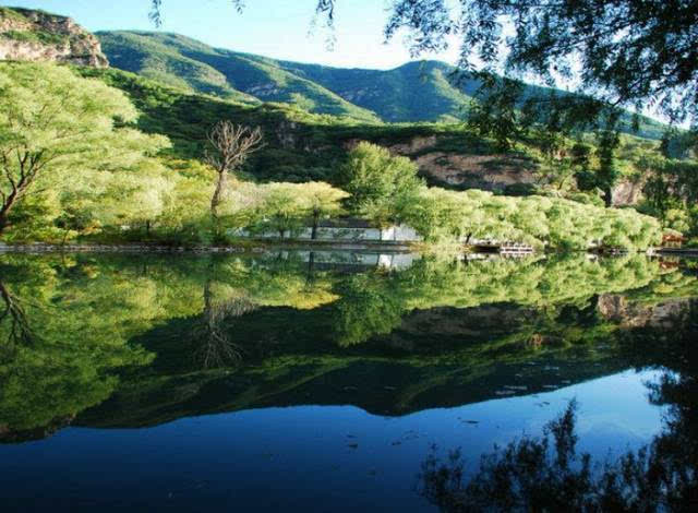 延庆硅化木国家地质公园—木化石群景区