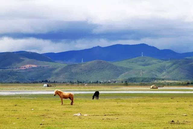 从天津坐火车去丽江吧!只需391.5元,沿途风景