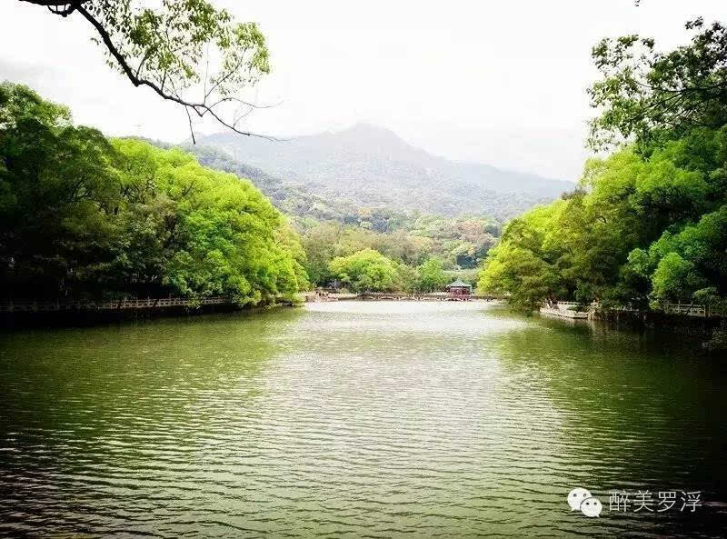 上午到达罗浮山主景区,步行进风景区,沿白莲湖右边环湖步行约十分钟