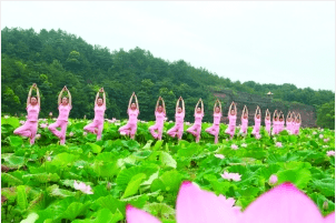 上饶日报走到横峰莲荷赏荷去