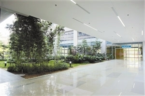 宝安区妇幼保健院实现跨越式发展