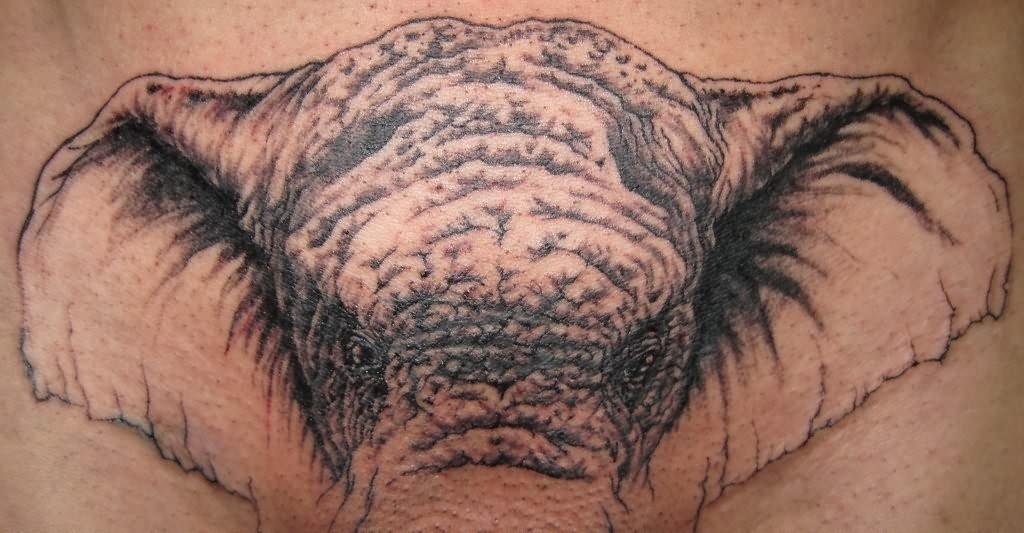 如果你也打算在你的丁丁上纹身,最好先看看这个