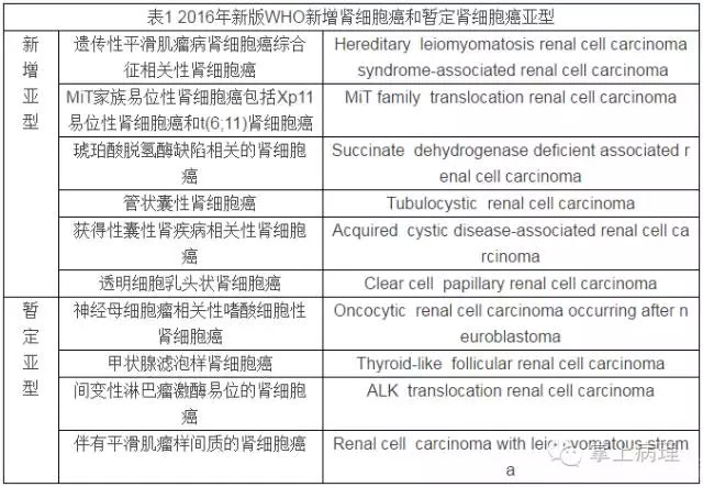 2016新版WHO肾脏肿瘤新分类的解读:纳入6种