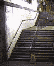 精选搞笑动态gif图片_笑死人不偿命