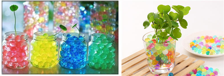 给你的办公室加点绿! - 微信公众平台精彩内容 - 微信邦