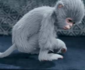 哮天犬,猪八戒,孙悟空,《西游记》人物都穿越来了《青云志》!