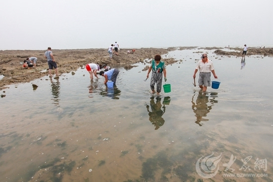 赶海使我们跟大海贴得更近