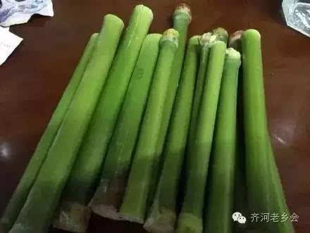 俺在齐河小时候吃的甜棒