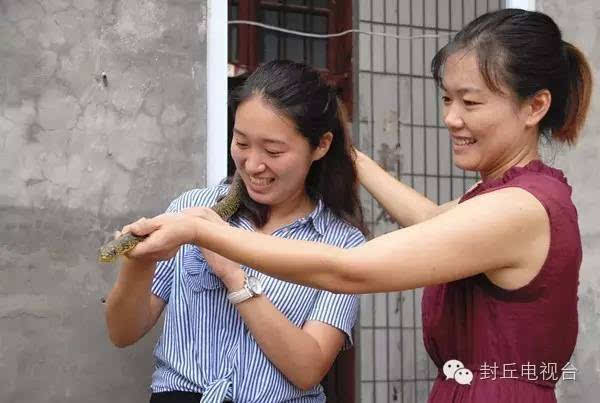 致富经养肉蛇_养蛇致富女蛇毒44亿_养蛇致富经