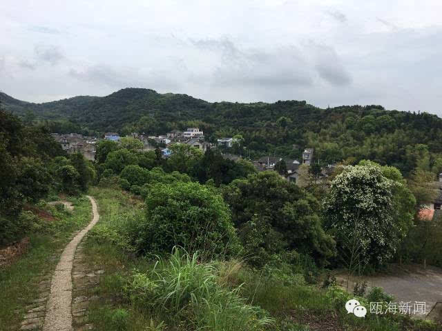 瓯海古村落 罗山村:南方诗经里的村庄