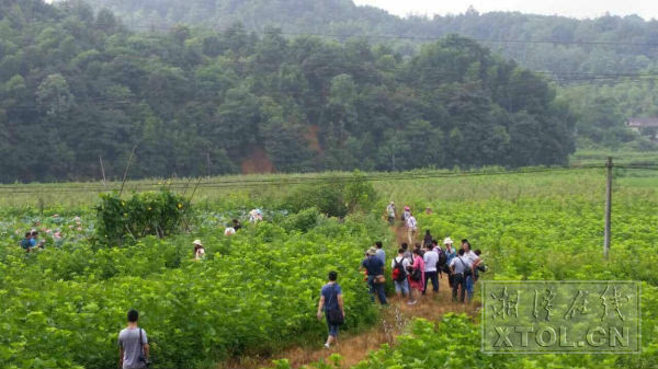 助推全域旅游 湘潭60位摄影师花石种桑养蚕基