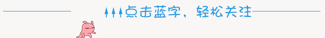子房胚珠数怎么看