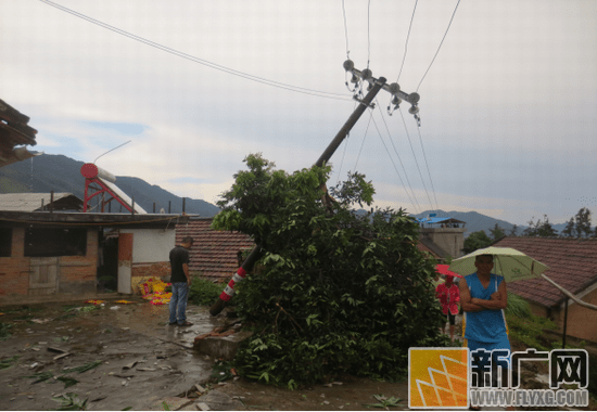 台风"妮妲"余威肆虐河口瑶山乡损失惨重图片