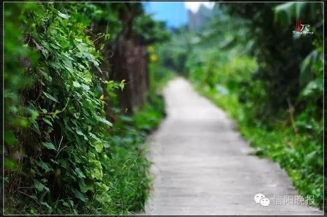 走在信阳乡间的小路上