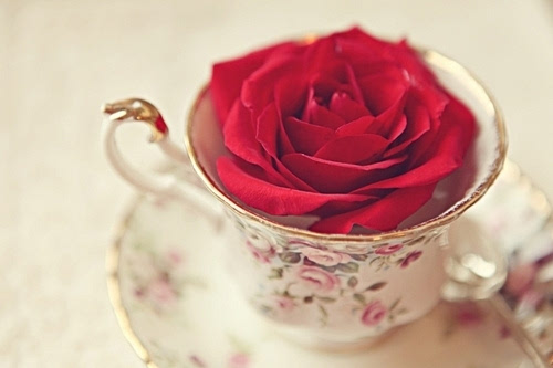 玫瑰是女人心中炙热的梦 唯美玫瑰图片