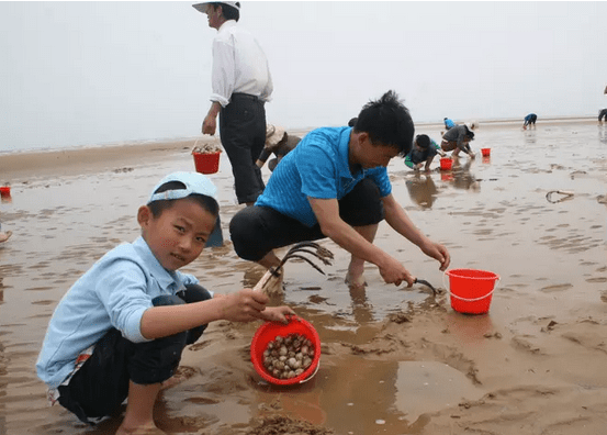 拥抱大海去万宝!休闲,海钓,赶海,渔家样样全